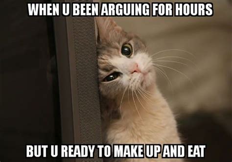 16 Purrfect Cat Memes For Your Caturday Med Billeder