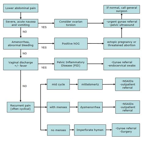 Clinical Practice Guidelines Lower Abdominal Pain Flowchart