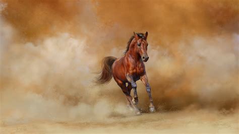 Brown Horse Is Running With Background Of Flying Sand On Wind 4k 5k Hd