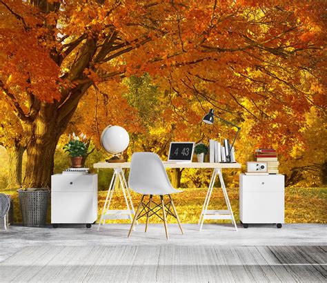 Autumn Forest 1509 Wallpaper Mural Self Adhesive Peel And Etsy