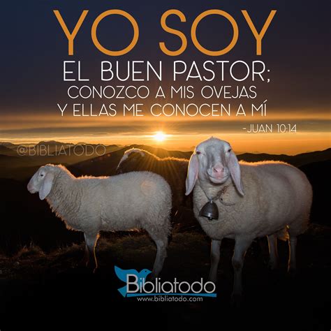 Yo Soy El Buen Pastor Imagenes Cristianas