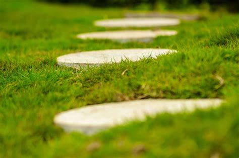 How to drain a waterlogged garden. Top tips to deal with a waterlogged garden