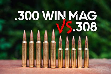 300 Win Mag Vs 308 Wideners Shooting Hunting And Gun Blog