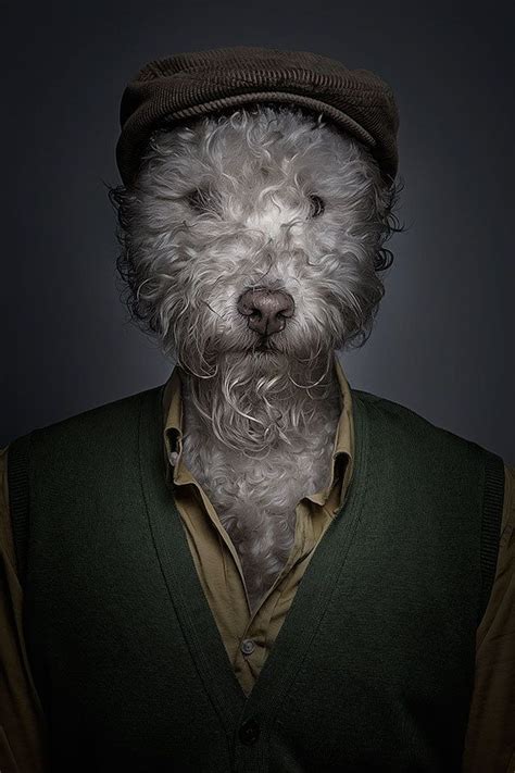 Funny Portraits Of Dogs Dressed Like Humans Dog Portraits Dog Art