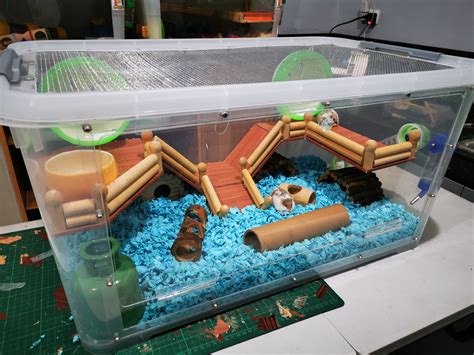 Robo Hamster Cage Related Keywords Suggestions Robo Hamster Cage Long Tail Keywords