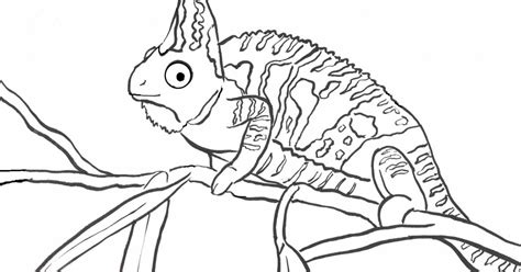 Chameleon Coloring Page - Art Starts