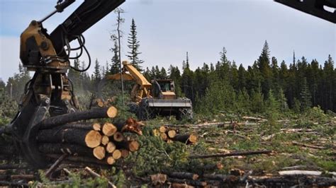 Bc Timber Industry In Throes Of Change As Premier Warns Of