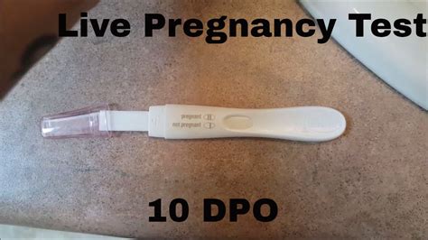 10 Days Dpo Pregnancy Test Pregnancy Test