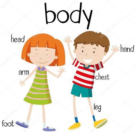 Check spelling or type a new query. Human body parts diagram — Stock Vector © blueringmedia ...