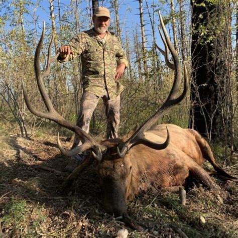 The Pending Air Archery World Record Rocky Mountain Elk
