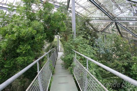 Der botanische garten grüningen ist seit 1. Tanzende Elfe: Amsterdam No.2 - Botanischer Garten
