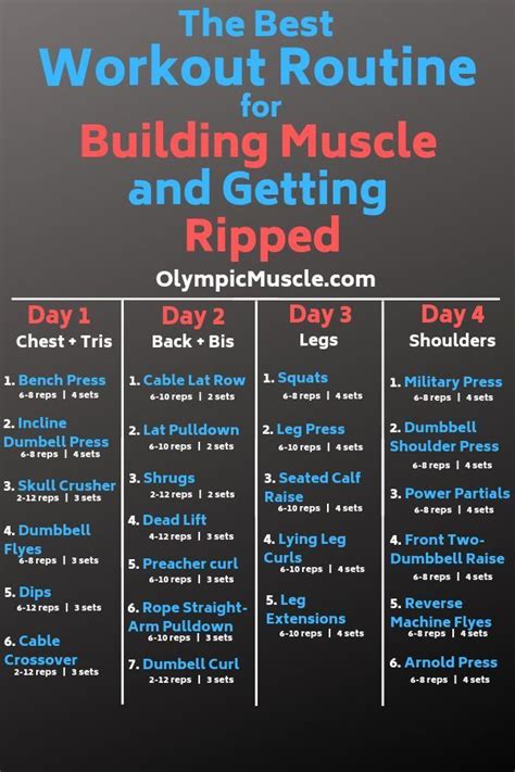 Weight Loss And Muscle Gain Workout Plan For Beginners Workoutwalls