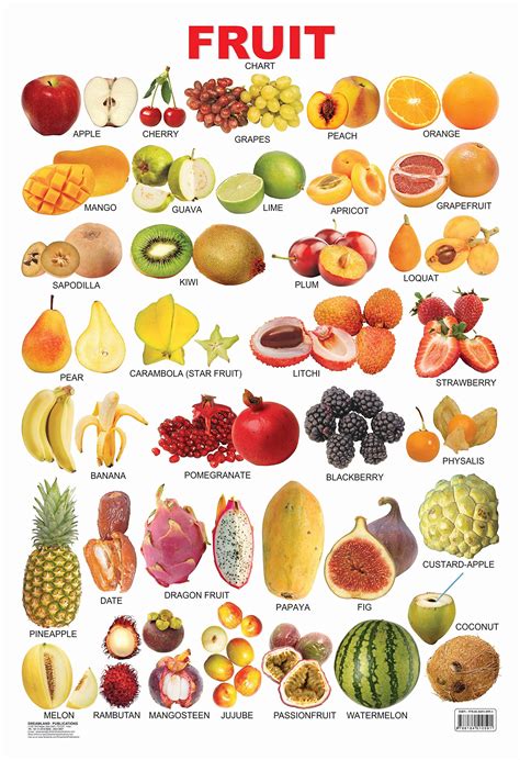 All Fruits Image 57 Koleksi Gambar