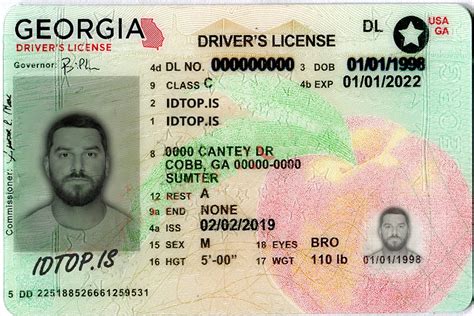 Georgia Drivers License Hologram Copperver