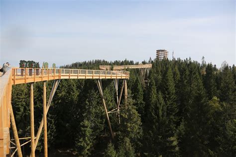 Graniczy z austrią (106,7 km), polską (541,1 km), czechami (251,8 km), ukrainą (97,8 km) oraz węgrami (654,8 km). Słowacja: Ścieżka w koronach drzew została otwarta ...