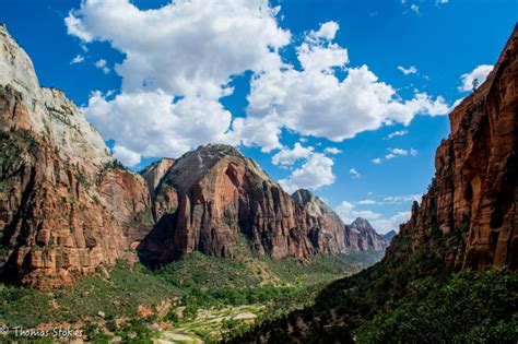 The sharp spines are believed to have evolved from the now missing zion national park is home to number of different cactus species, including claret cup, pricklypear, and cholla. Zion National Park, Angels Landing trail - Beautiful ...