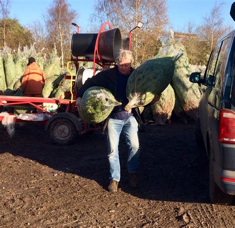 Mike Carrying Netted Trees Warwickshire Christmas Tree Farm
