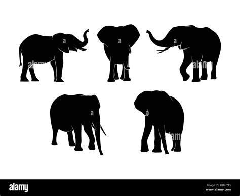 Set Of Elephants Silhouette Isolated On A White Background Vector