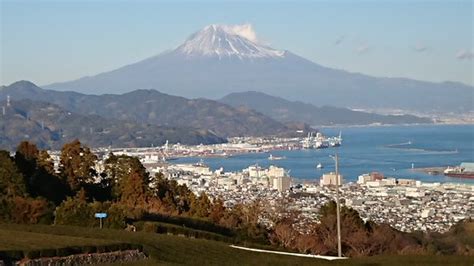 Shimizu Port Shizuoka Updated 2021 All You Need To Know Before You