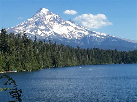 Mount Hood From Lost Lake In Mount Hood National Forest Picture Of