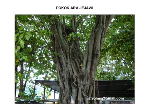 Kelemahan dari sistem harga pokok tradisional. Industri Walit Tingkatkan Ekonomi Bumiputra: POKOK-POKOK ...