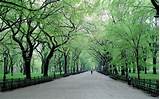 Central Park Photo Spots Photos