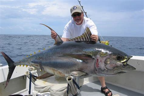 Fishing For Yellowfin Tuna Louisiana Charter Fishing