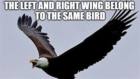 Birds Have Two Wings Rcroppedboomermemes