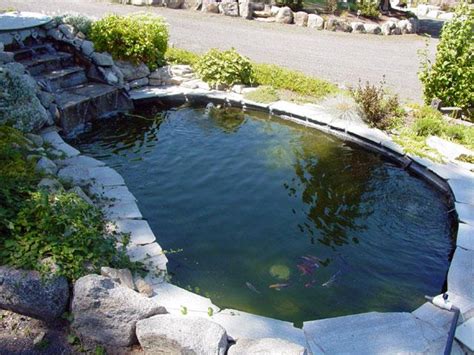 Photo Gallery Koi Gardens Inc