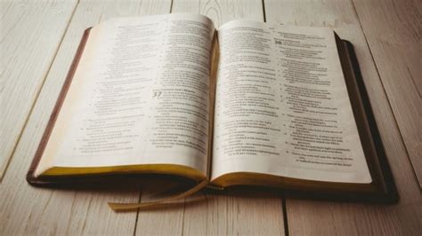 “puse La Biblia En Mi Puerta Y El Huracán Sally No Tocó Mi Casa” Mi