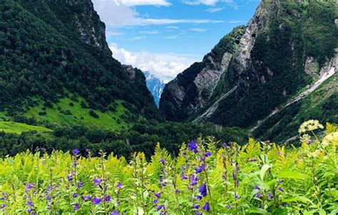 Valley Of Flowers And Hemkund Sahib Trek Desi Nomadz
