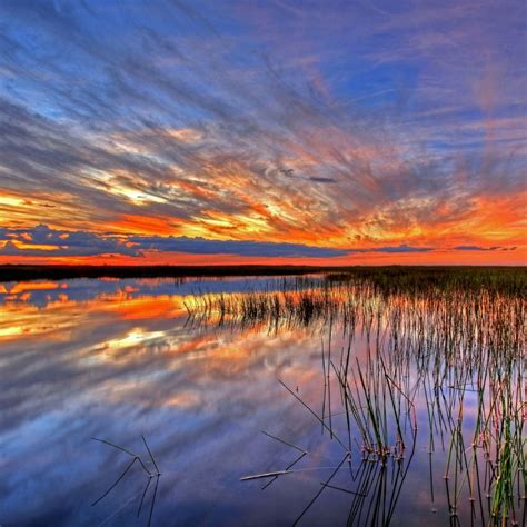 Everglades National Park Foundation