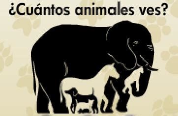 Os podemos asegurar que estas imágenes no decepcionarán a los amantes de los acertijos, ilusiones ópticas, enigmas y juegos mentales. bichicos de tercero: ¿Cuántos animales ves?