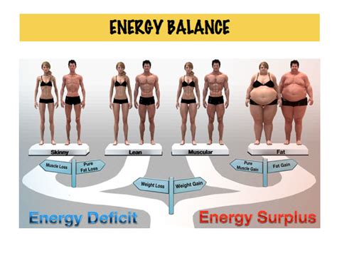 Energy Balance Teaching Resources