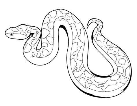 The primary background color of the timber rattlesnake is light brown or. Rattlesnake Drawing at GetDrawings | Free download