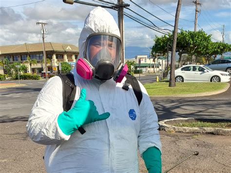Fight Back With Oahu Termite Control — Mid Pacific Pest Control