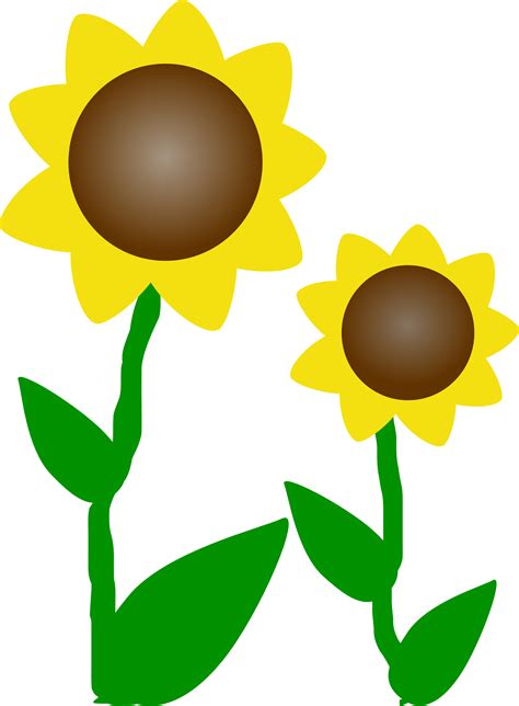 Sunflower Cartoon Clipart Best