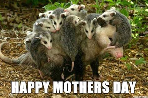 32 Sweet Happy Mothers Day Memes