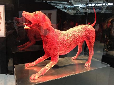 Experiencing Body Worlds Animal Inside Out Exhibition At Telus Spark