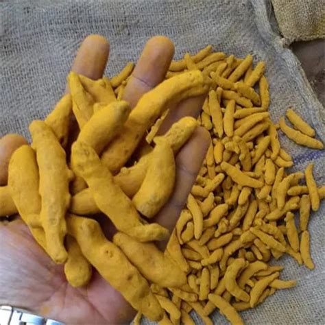 Yellow Organic Turmeric Finger At Best Price In Sangli Nolex Dynamic