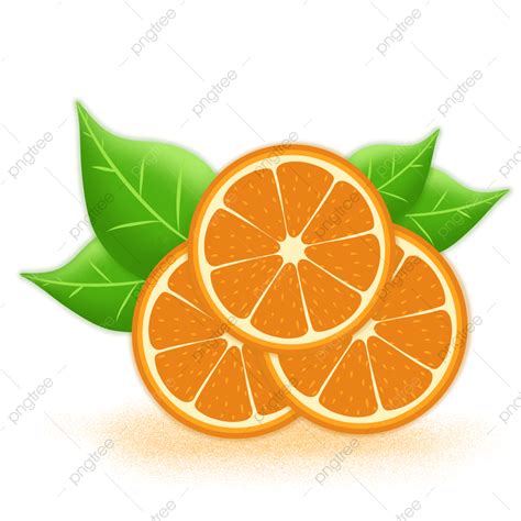 Ilustración De Unas Rodajas De Naranja Fresca Y Dulce Png Frutas