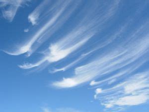 Cirrus clouds meaning for kids. ~ Cirrus Clouds ~ | Cirrus cloud, Clouds, Clouds photo