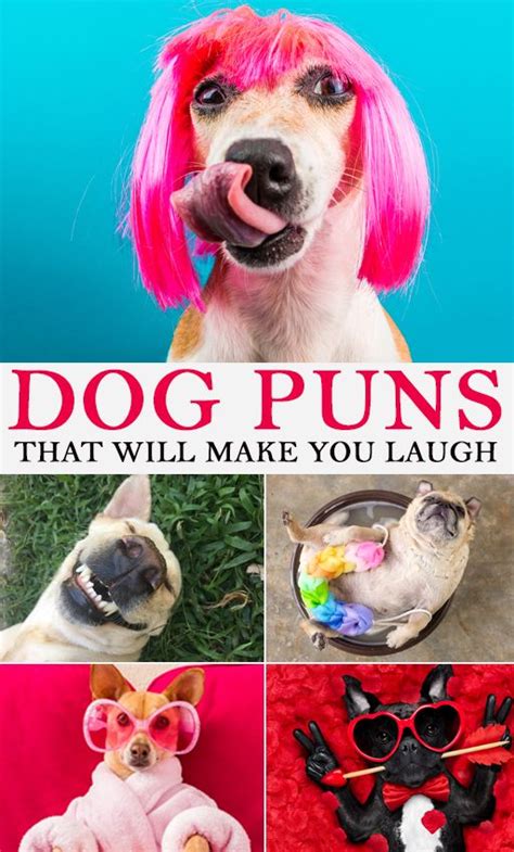 Dog Puns In 2021 Dog Puns Puns Laugh