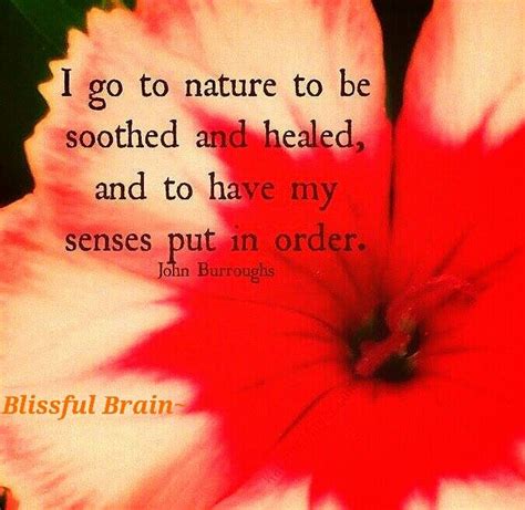 Nature Is A Natural Healer With Images Nature Quotes