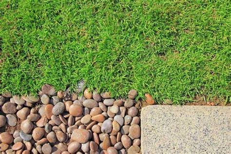 7 Photos How To Lay Pebbles In Garden And Description Alqu Blog