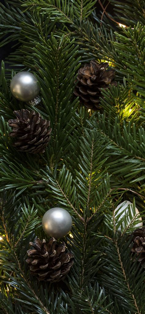 Get your iphone christmas ready with 35 cute christmas iphone wallpapers. 30+ Beautiful iPhone Xs & Xs Max Christmas Wallpapers ...