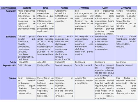 Cuadro comparativo microorganismos Características Bacteria Virus