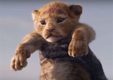 (i know i added many of the actors from the games on here, but that's because i think that they would also be right for the live action portrayal.) 'The Lion King' live-action movie will feature top Black ...