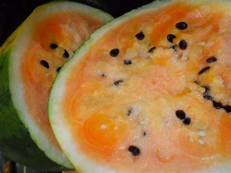 Citrullus Lanatus Orange Watermelon Seeds World Seed Supply