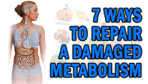 7 Ways To Repair A Damaged Metabolism Project Next